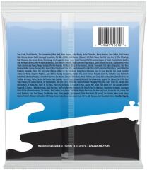 Ernie Ball P02810 Flat 45-130 (5 Telli) Bas Gitar Teli