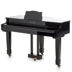 Arsenberg Speyer Serisi AG40S Grand Piyano