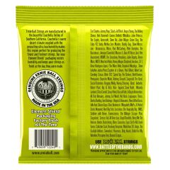 Ernie Ball P02240 (RPS-10) Slinky Nickel 0-46 Elektro Gitar Teli