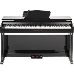 Arsenberg ADP1981BNG Siyah Dijital Piyano Yeni Versiyon