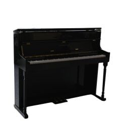 Arsenberg ADP1923BNG Siyah Dijital Piyano 2025 Versiyon