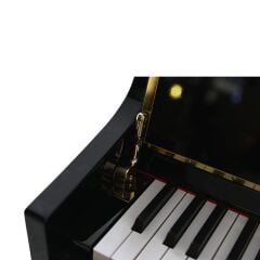Arsenberg ADP1923BNG Siyah Dijital Piyano 2025 Versiyon
