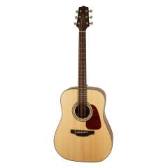 Takamine GD10-NS Akustik Gitar