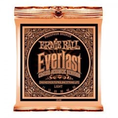 Ernie Ball P02548 Everlast Akustik Gitar Teli (Light)